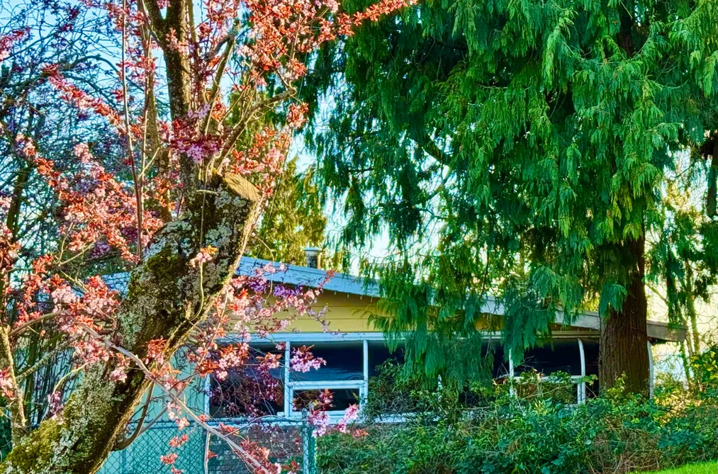 House for sale at 990 Balsam Street White Rock British Columbia - MLS: R3127513