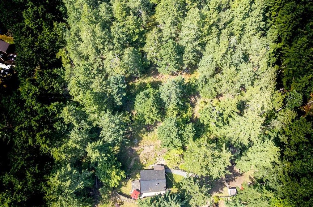 9907 GOWLLAND POINT ROAD, Pender Island BC V0N 2M3, Pender Island BC — Residential for Sale - Photo 4
