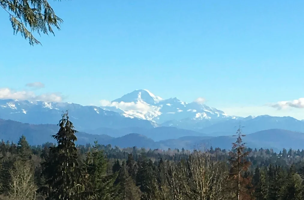 Property for sale at 9985 Keenan Terrace Mission British Columbia - MLS: R3151847