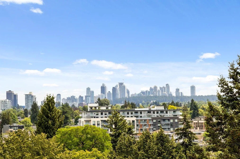 B 4260 SOPHIA STREET, Vancouver, BC — Residential for Sale — Photo 38 of 40
