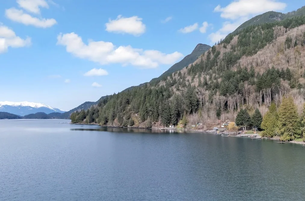 BLK A DL 354 CASCADE BAY, Harrison Hot Springs BC V0M 1K0, Harrison Hot Springs BC — Residential for Sale - Photo 3