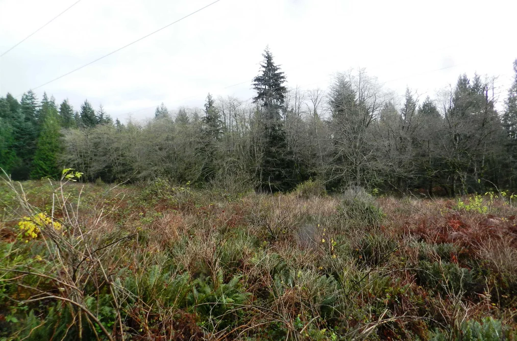 Property for sale at Block 1 Hauka Road Langdale British Columbia - MLS: R3139360
