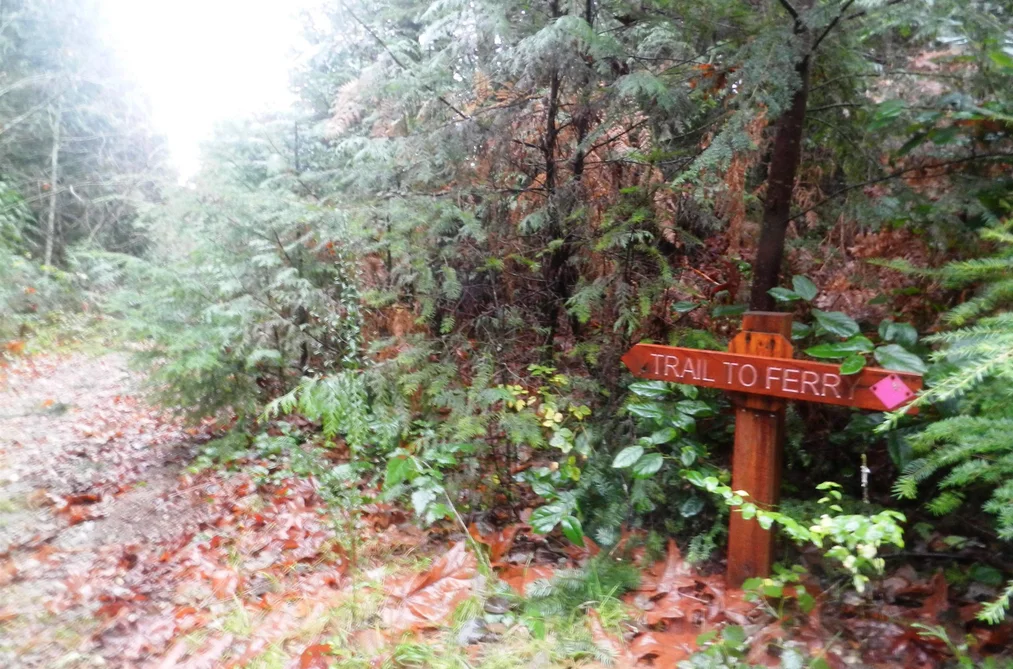 Block 1 HAUKA ROAD, Langdale BC V0N 1V6, Langdale BC — Land for Sale — Photo 2 of 16
