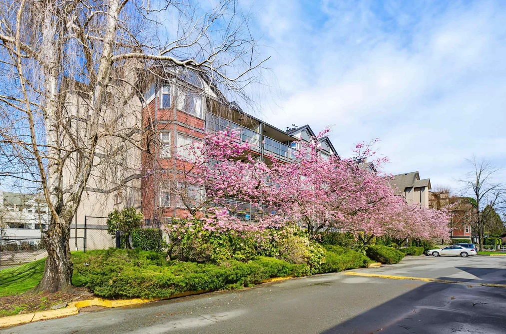 Condo for sale at D205 4845 53 Street Delta British Columbia - MLS: R3104881