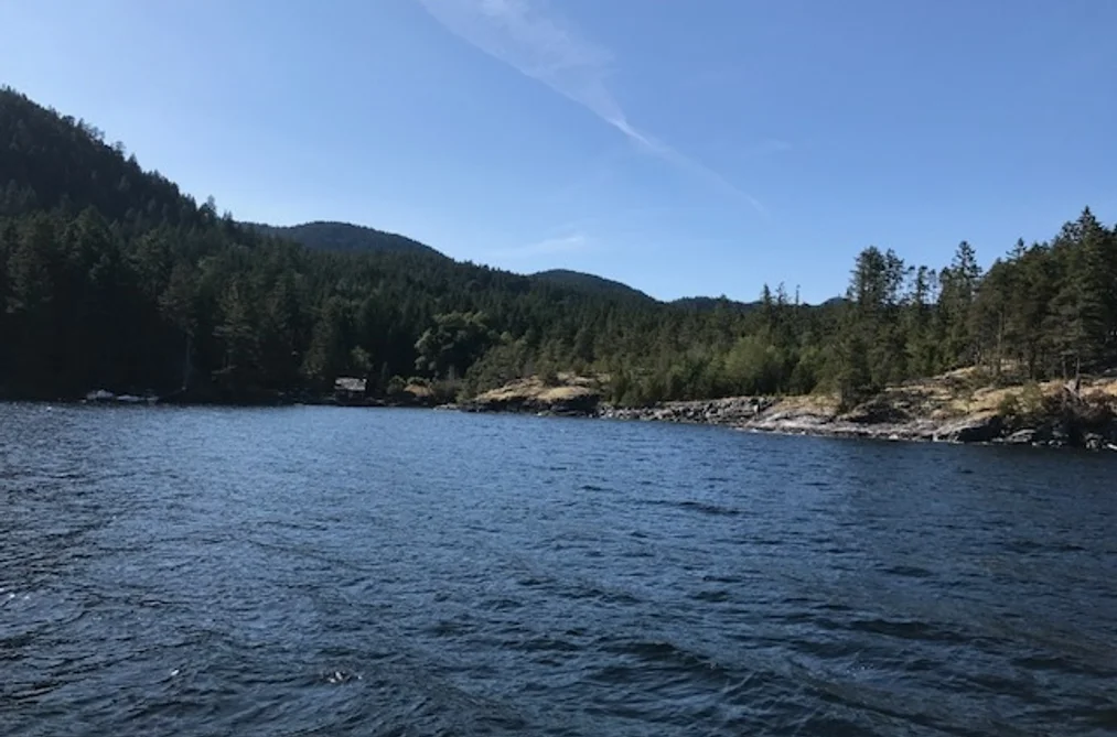 DL 1020 N GREEN BAY, Nelson Island BC V0N 1S0, Nelson Island BC — Land for Sale - Photo 2