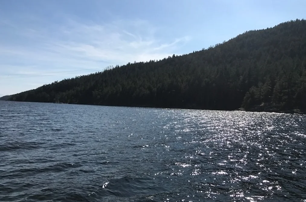 DL 1020 N GREEN BAY, Nelson Island BC V0N 1S0, Nelson Island BC — Land for Sale - Photo 3