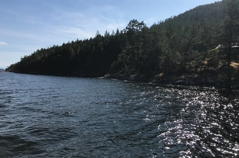 DL 1020 N GREEN BAY, Nelson Island BC V0N 1S0, Nelson Island BC — Land for Sale - Photo 4