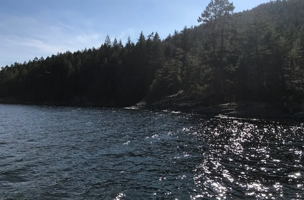 DL 1020 N GREEN BAY, Nelson Island BC V0N 1S0, Nelson Island BC — Land for Sale - Photo 6