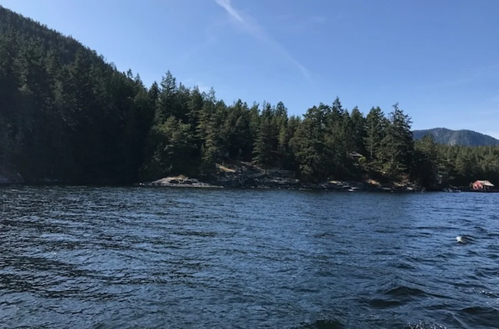 DL 1020 N GREEN BAY, Nelson Island BC V0N 1S0, Nelson Island BC — Land for Sale - Photo 7