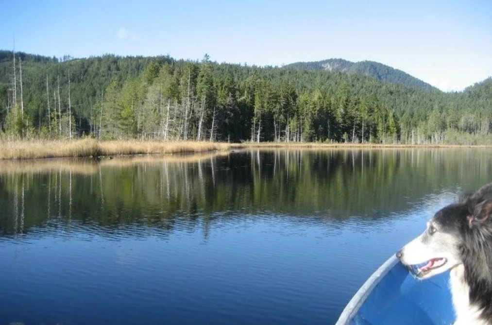DL 1020 S GREEN BAY, Nelson Island BC V0N 0V0, Nelson Island BC — Land for Sale - Photo 5