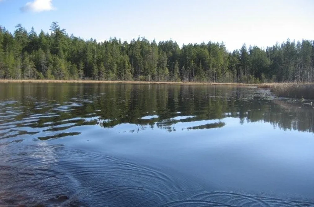 DL 1020 S GREEN BAY, Nelson Island BC V0N 0V0, Nelson Island BC — Land for Sale - Photo 6