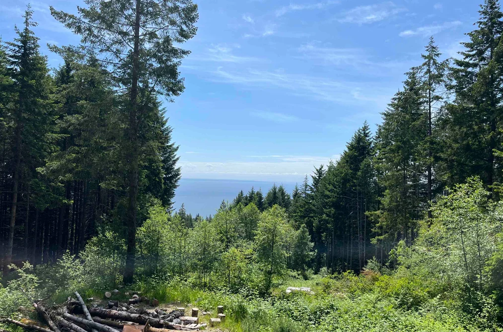 DL 1312 SULLIVAN ROAD, Roberts Creek BC V0N 1V7, Roberts Creek BC — Land for Sale - Photo 5