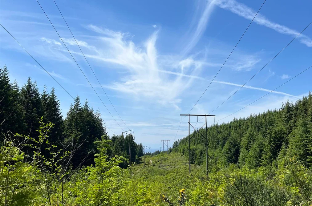 DL 1312 SULLIVAN ROAD, Roberts Creek BC V0N 1V7, Roberts Creek BC — Land for Sale - Photo 7