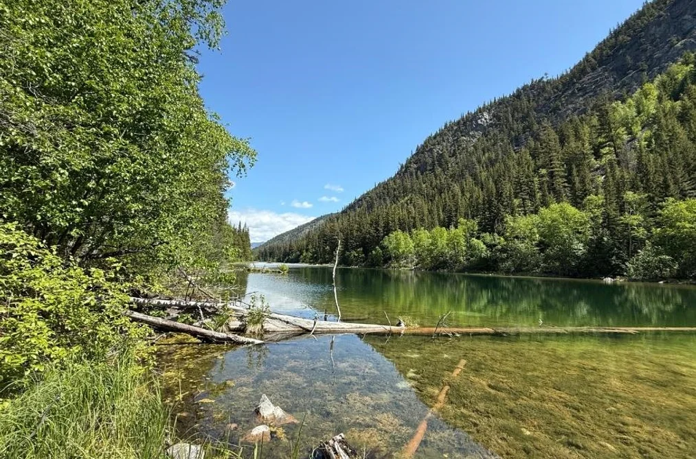 Property for sale at Dl 2401 Sucker Lake Road Birken British Columbia - MLS: R3073270