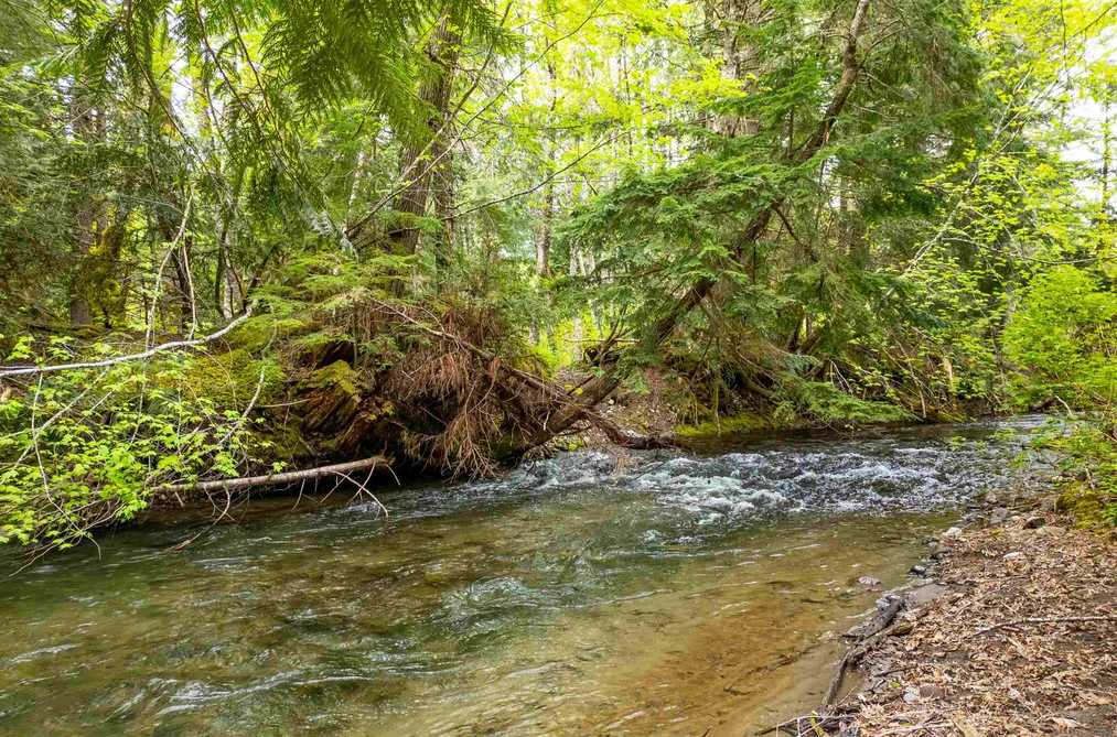 DL 3559 HWY 99, Whistler BC V0V 0V0, Whistler BC — Land for Sale - Photo 4