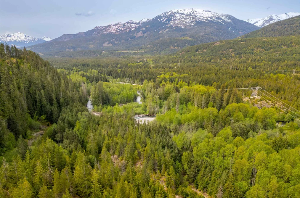 DL 3559 HWY 99, Whistler BC V0V 0V0, Whistler BC — Land for Sale - Photo 5