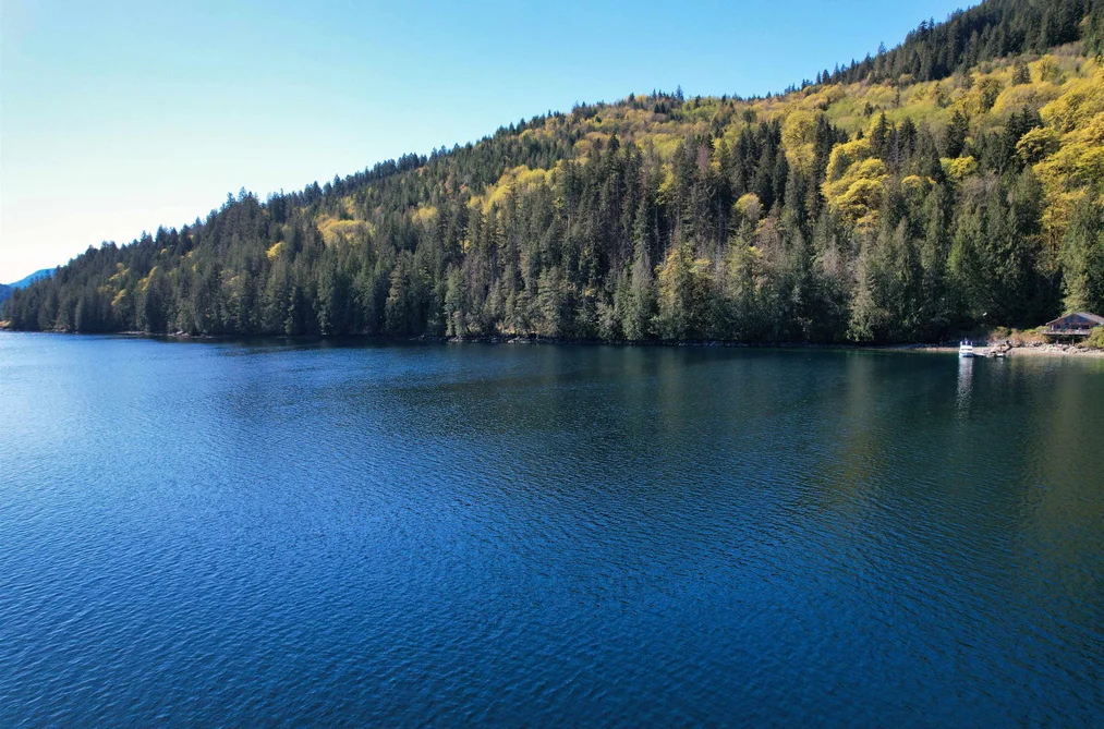 DL 4055 E DARK COVE JERVIS ROAD, Madeira Park BC V0N 2H4, Madeira Park BC — Residential for Sale - Photo 6