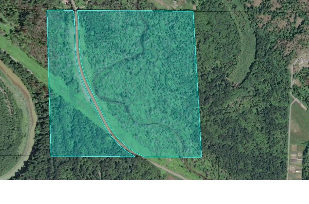 DL 993 SQUAMISH VALLEY ROAD, Squamish BC V0V 0V0, Squamish BC — Land for Sale - Photo 4