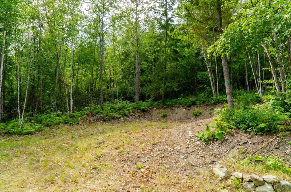 DL3238 Highline Road, D'Arcy, BC - MLS: R3163475 - Photo 10 DL3238 Highline Road, D'Arcy, BC - MLS: R3163475 - Photo 10