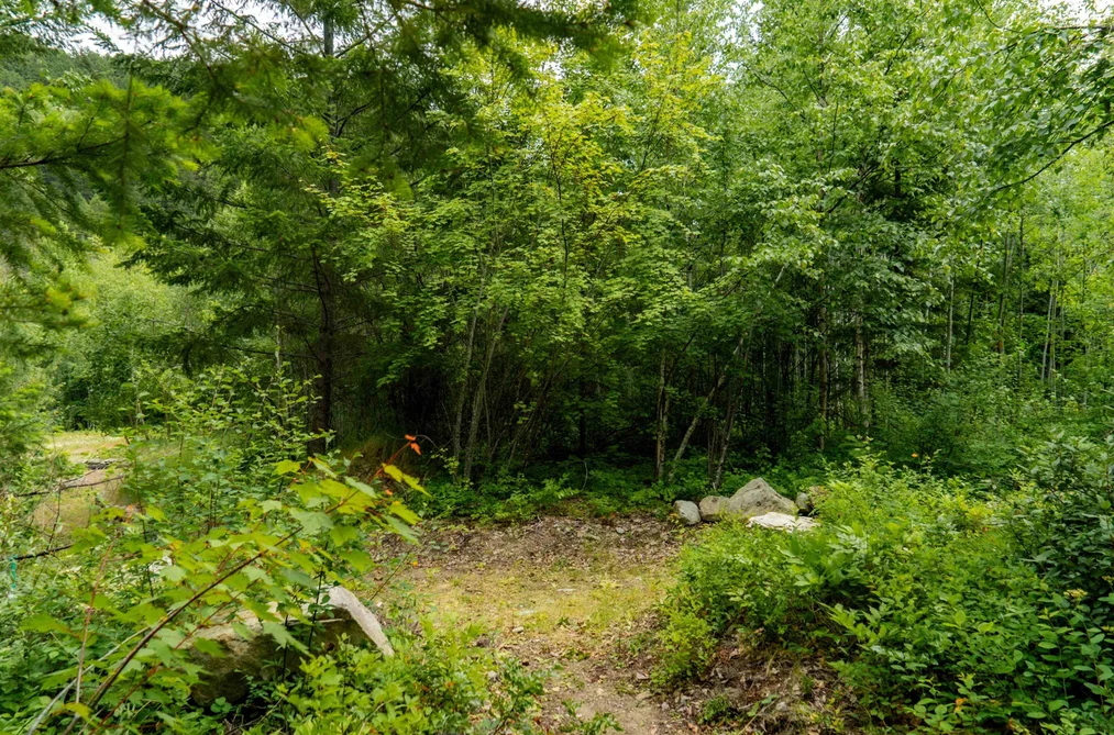 DL3238 Highline Road, D'Arcy, BC - MLS: R3163475 - Photo 17 DL3238 Highline Road, D'Arcy, BC - MLS: R3163475 - Photo 17