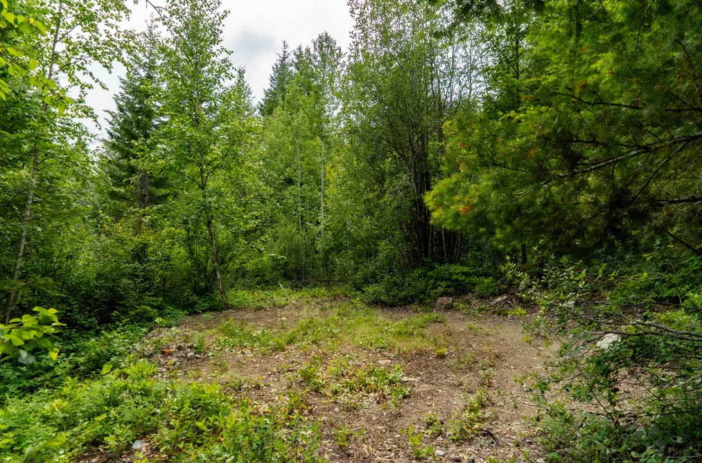 DL3238 Highline Road, D'Arcy, BC - MLS: R3163475 - Photo 18 DL3238 Highline Road, D'Arcy, BC - MLS: R3163475 - Photo 18