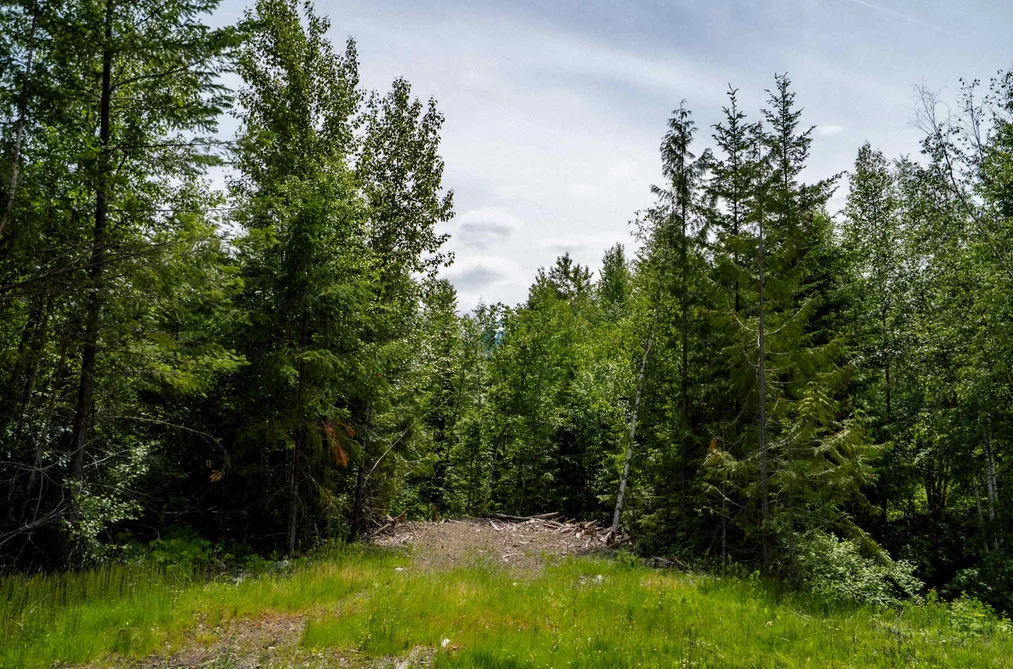 DL3238 Highline Road, D'Arcy, BC - MLS: R3163475 - Photo 19 DL3238 Highline Road, D'Arcy, BC - MLS: R3163475 - Photo 19