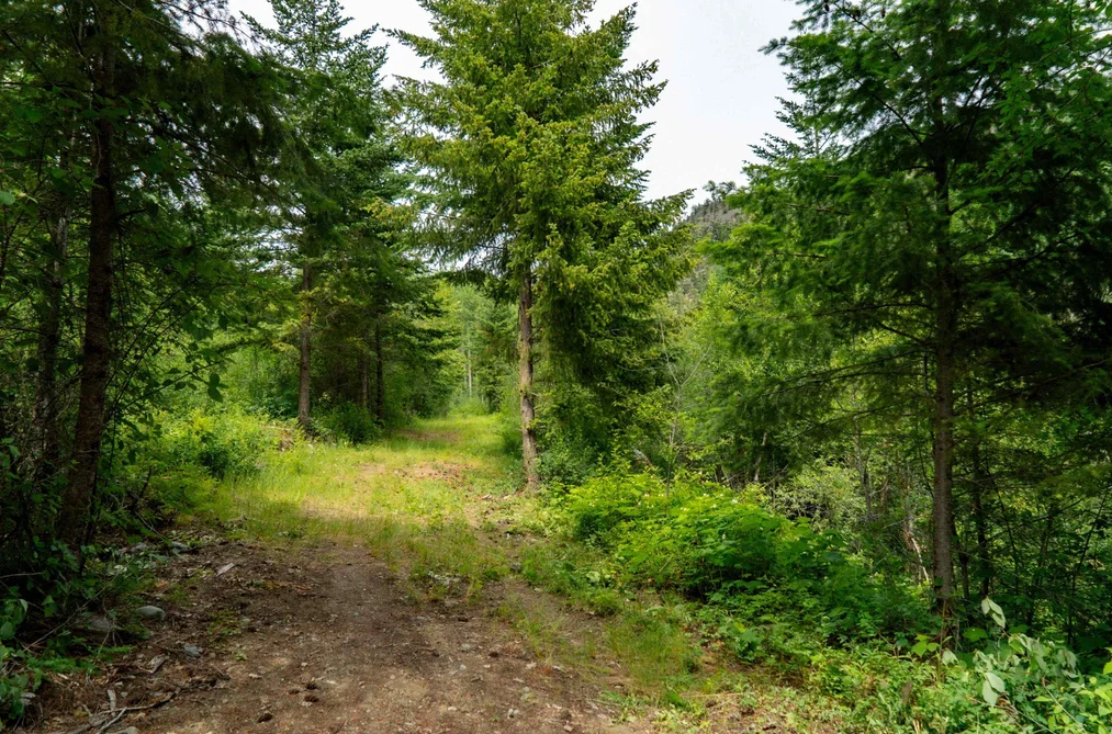 DL3238 Highline Road, D'Arcy, BC - MLS: R3163475 - Photo 20 DL3238 Highline Road, D'Arcy, BC - MLS: R3163475 - Photo 20