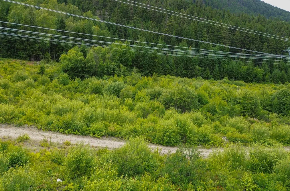 DL3238 Highline Road, D'Arcy, BC - MLS: R3163475 - Photo 32 DL3238 Highline Road, D'Arcy, BC - MLS: R3163475 - Photo 32