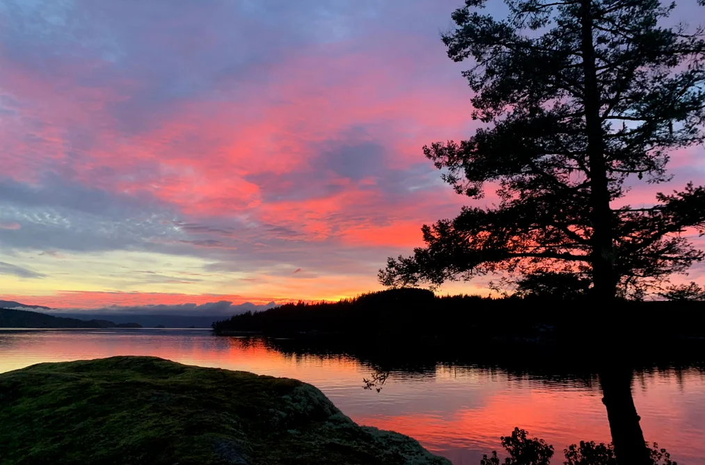 DL6129 NELSON ISLAND, Pender Harbour BC V0N 0V0, Pender Harbour BC — Residential for Sale - Photo 6