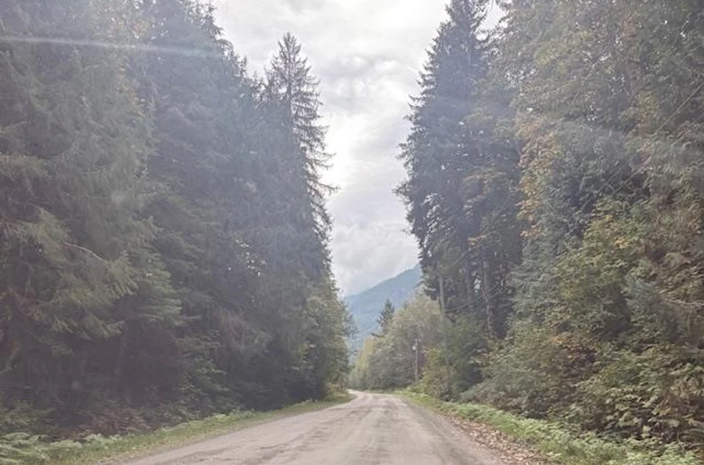 DL990 NW MAGEE ROAD, Squamish BC V0N 3G0, Squamish BC — Land for Sale - Photo 2
