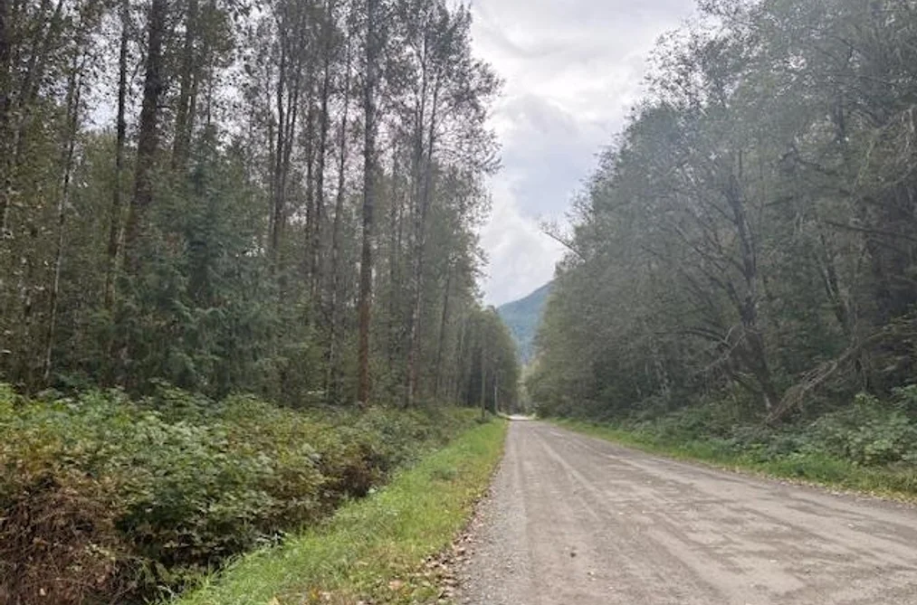 DL990 NW MAGEE ROAD, Squamish BC V0N 3G0, Squamish BC — Land for Sale - Photo 4