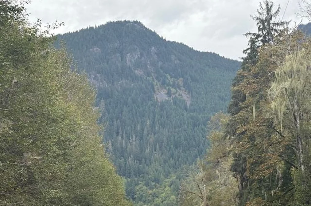 DL990 NW MAGEE ROAD, Squamish BC V0N 3G0, Squamish BC — Land for Sale - Photo 6