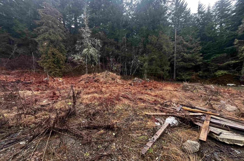 LMV 7 OLD HOPE PRINCETON HIGHWAY, Sunshine Valley BC V0X 1L5, Sunshine Valley BC — Land for Sale - Photo 2