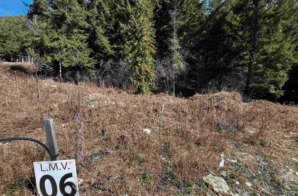 Property for sale at Lmv6 Old Hope Princeton Highway Sunshine Valley British Columbia - MLS: R3064489