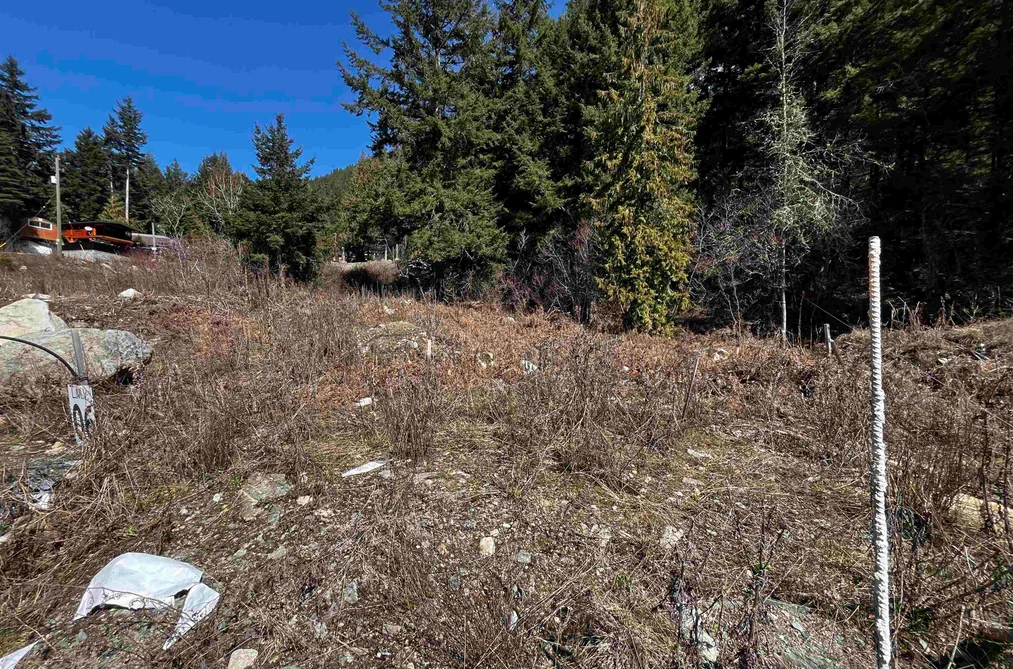 LMV6 OLD HOPE PRINCETON HIGHWAY, Sunshine Valley BC V0X 1L5, Sunshine Valley BC — Land for Sale - Photo 2