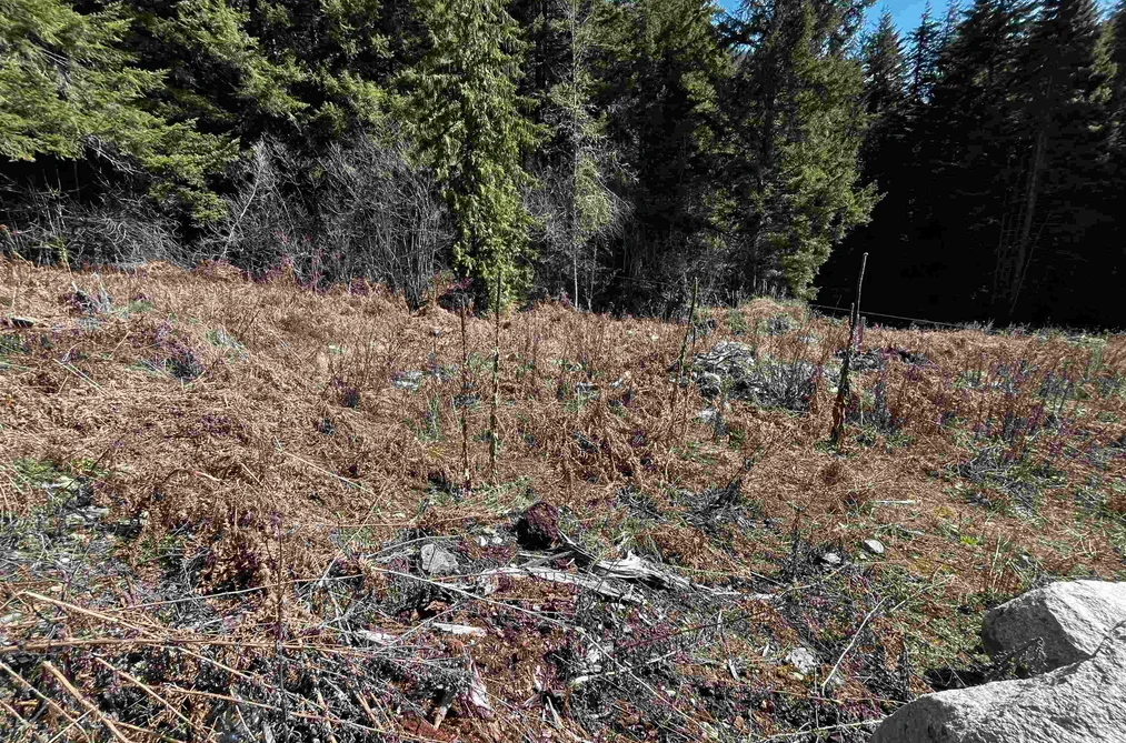 LMV6 OLD HOPE PRINCETON HIGHWAY, Sunshine Valley BC V0X 1L5, Sunshine Valley BC — Land for Sale - Photo 3