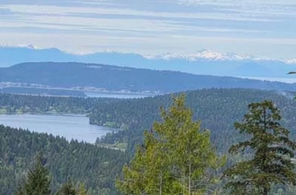 Property for sale at Lot 01 Cudmore Road Salt Spring Island British Columbia - MLS: R3084386