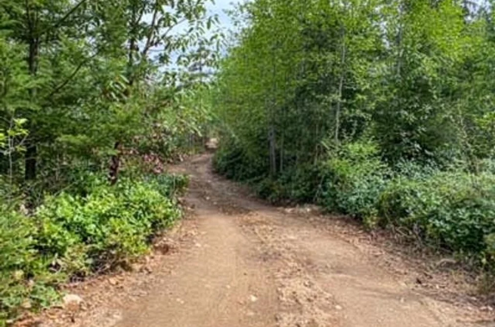 LOT 01 CUDMORE ROAD, Salt Spring Island BC V8K 2Y1, Salt Spring Island BC — Land for Sale - Photo 3