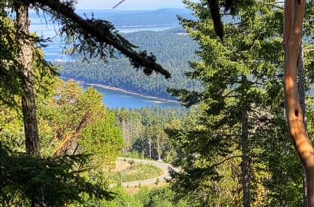 Property for sale at Lot 06 Cudmore Road Salt Spring Island British Columbia - MLS: R3084429