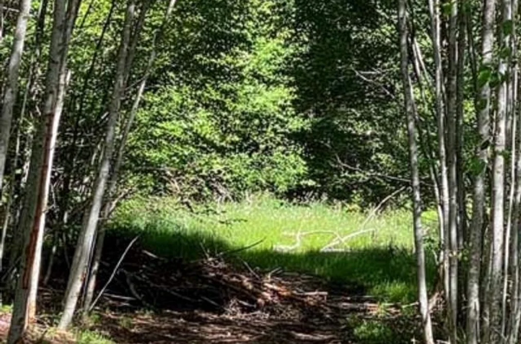 LOT 06 CUDMORE ROAD, Salt Spring Island BC V8K 2Y1, Salt Spring Island BC — Land for Sale - Photo 2