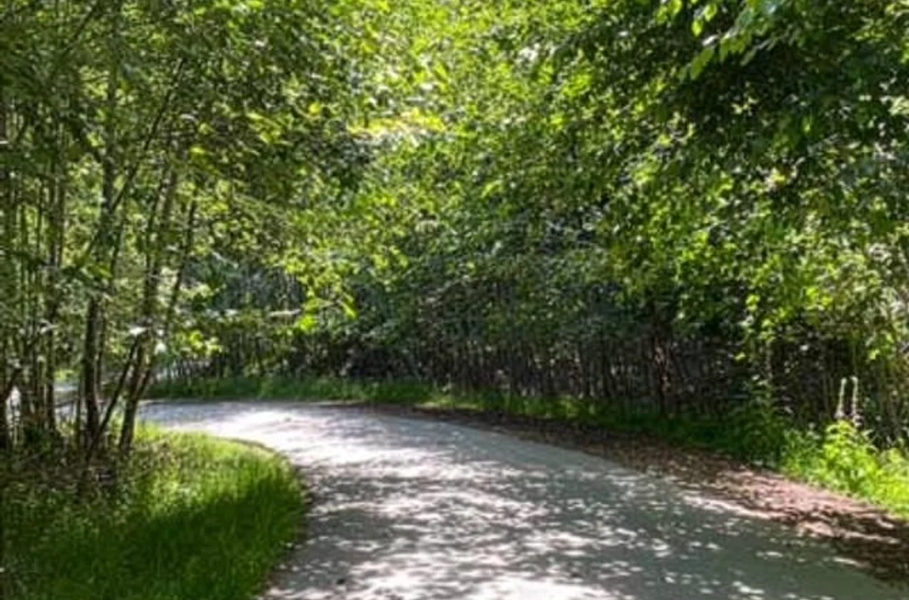 LOT 06 CUDMORE ROAD, Salt Spring Island BC V8K 2Y1, Salt Spring Island BC — Land for Sale - Photo 3