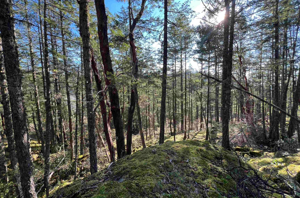 LOT 1 13685 LEE ROAD, Garden Bay BC V0N 1S1, Garden Bay BC — Land for Sale - Photo 3