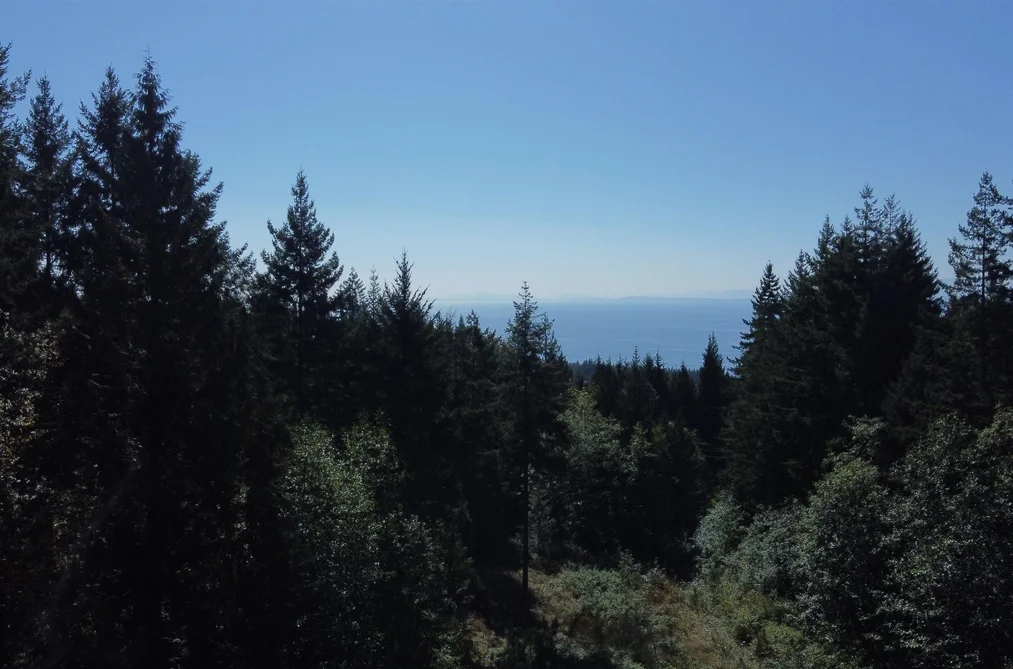 Property for sale at Lot 1 Firburn Road Roberts Creek British Columbia - MLS: R3167484