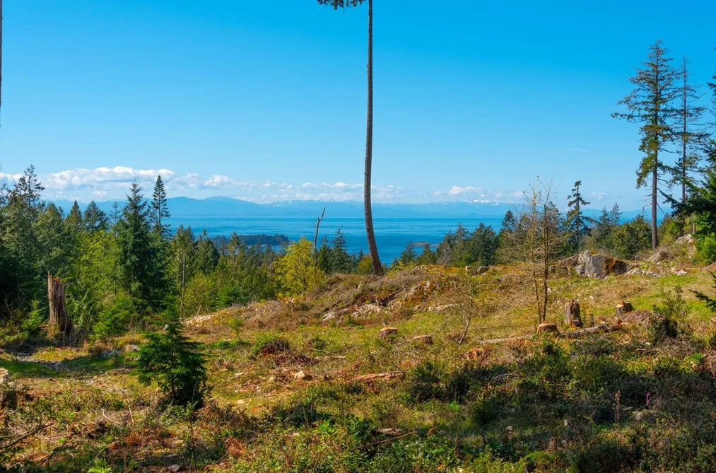 Property for sale at Lot 1 Innisfree Lane Bowen Island British Columbia - MLS: R3114921