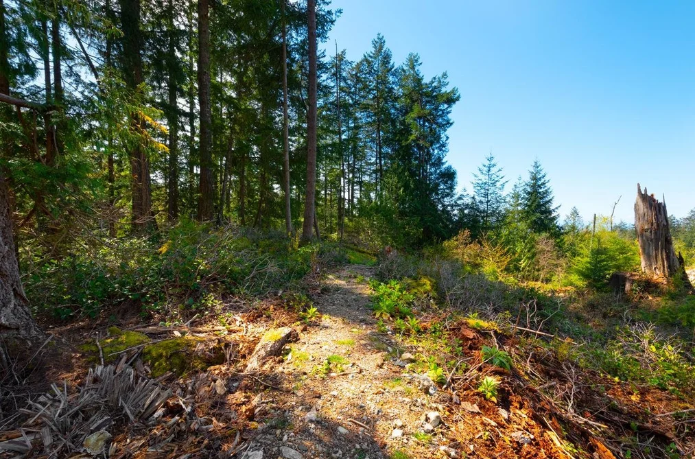 Lot 1 INNISFREE LANE, Bowen Island BC V0N 1G2, Bowen Island BC — Land for Sale - Photo 6