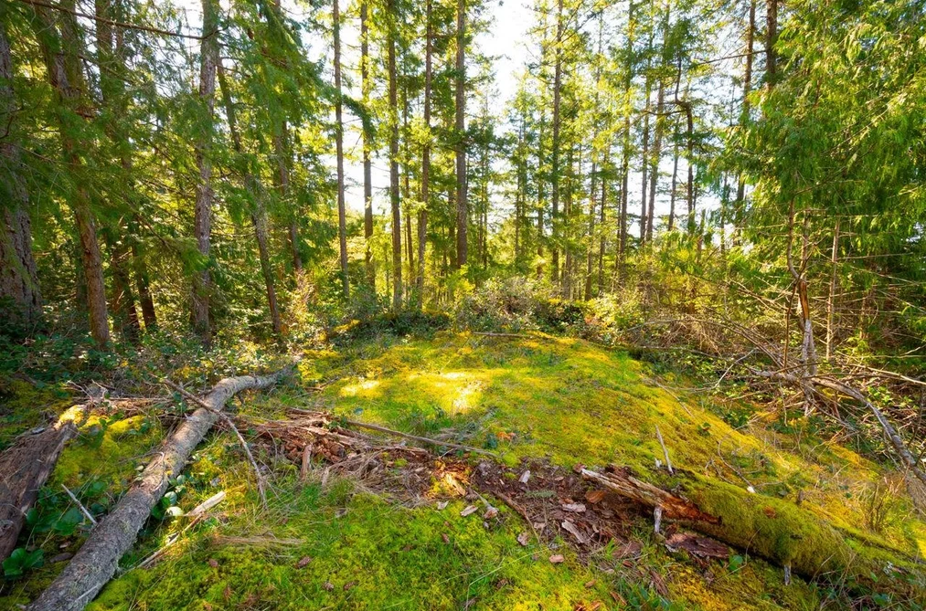 Lot 1 INNISFREE LANE, Bowen Island BC V0N 1G2, Bowen Island BC — Land for Sale - Photo 7