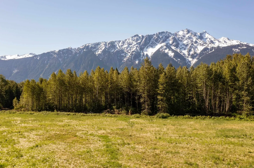 Property for sale at Lot 1 Pemberton Farm Road Pemberton British Columbia - MLS: R3104511