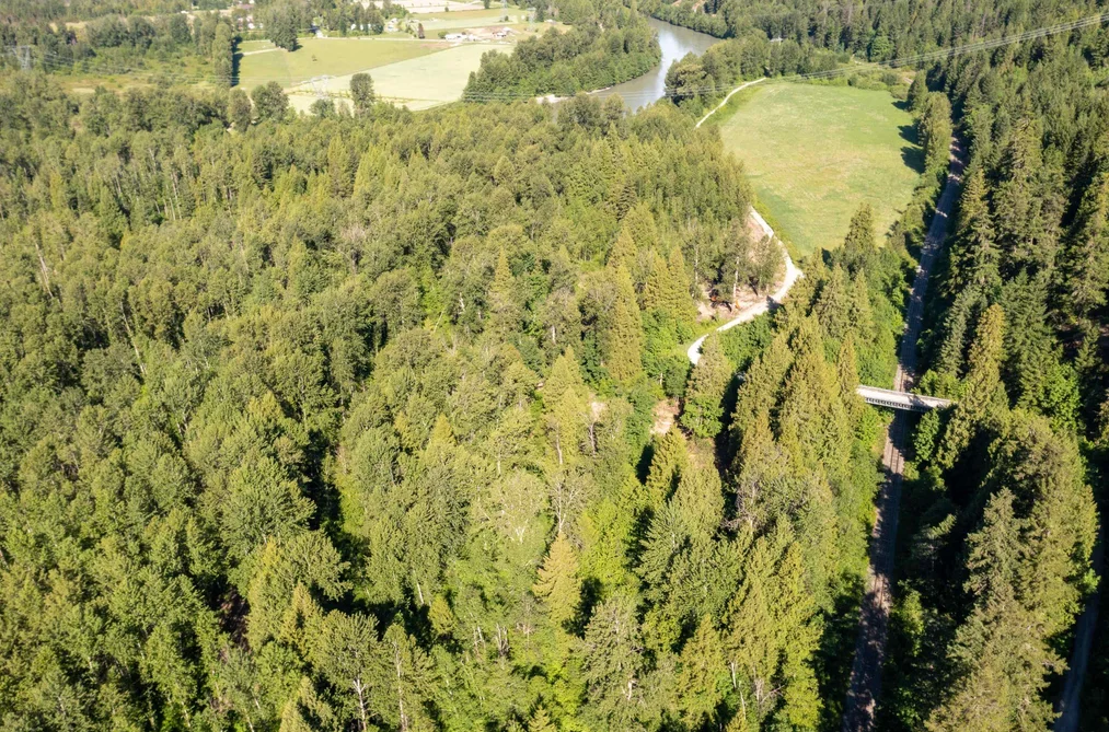 LOT 1 PEMBERTON FARM ROAD, Pemberton BC V0N 2L0, Pemberton BC — Land for Sale - Photo 4