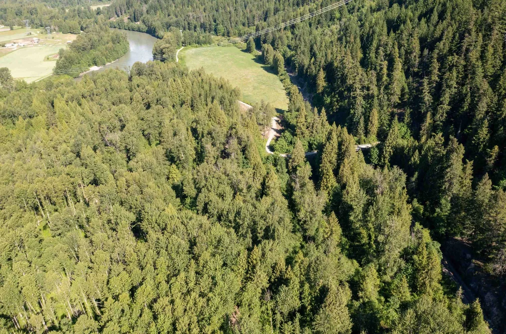 LOT 1 PEMBERTON FARM ROAD, Pemberton BC V0N 2L0, Pemberton BC — Land for Sale - Photo 5