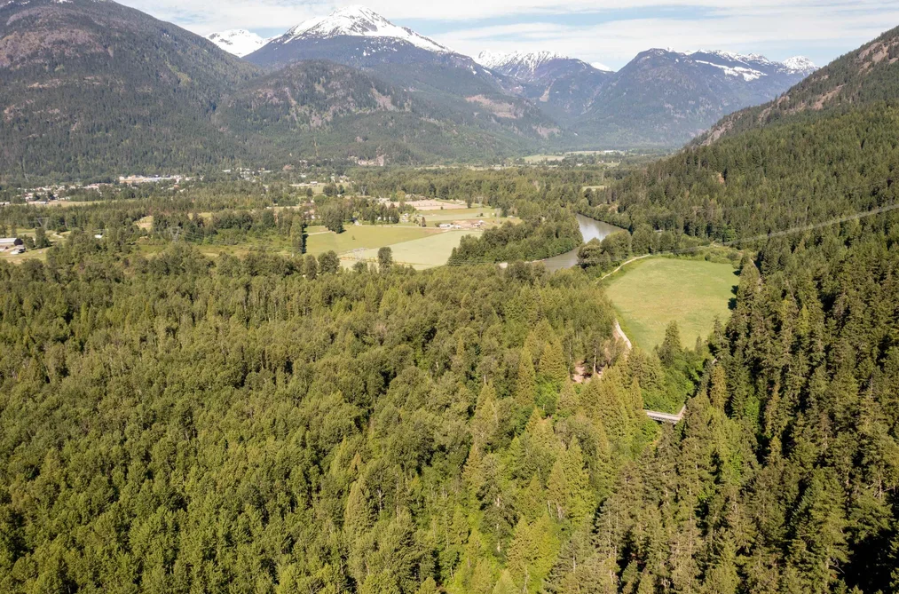LOT 1 PEMBERTON FARM ROAD, Pemberton BC V0N 2L0, Pemberton BC — Land for Sale - Photo 7